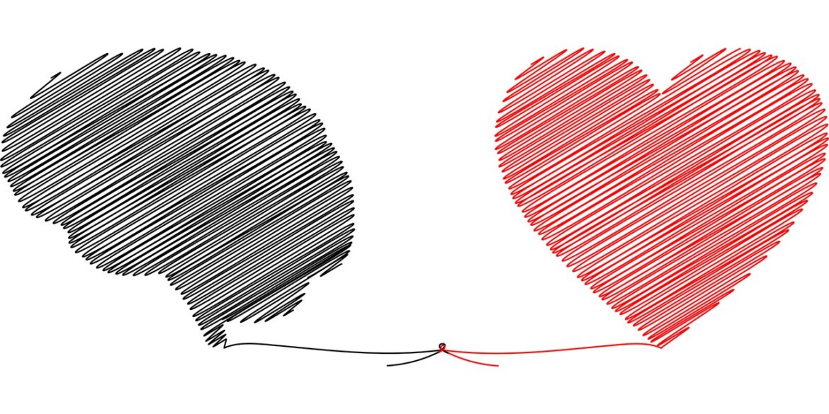 imagen que muestra un cerebro y un corazón hilados, ilustrativo del equilibrio mente y corazón.